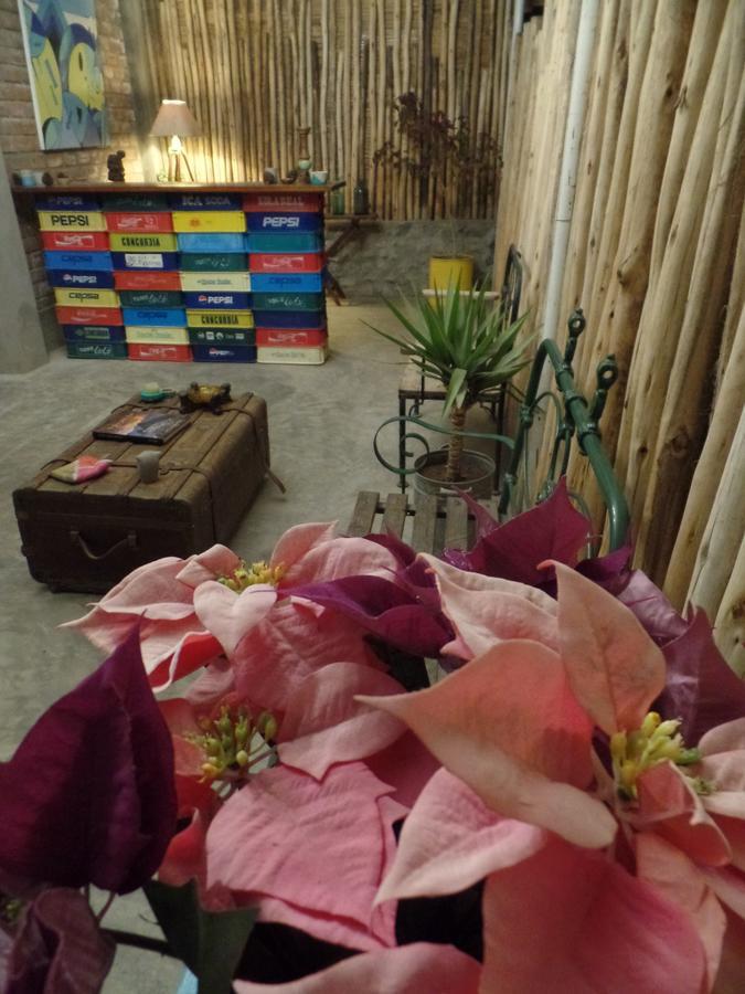 The Upcycled Hostel Huacachina 伊察 外观 照片